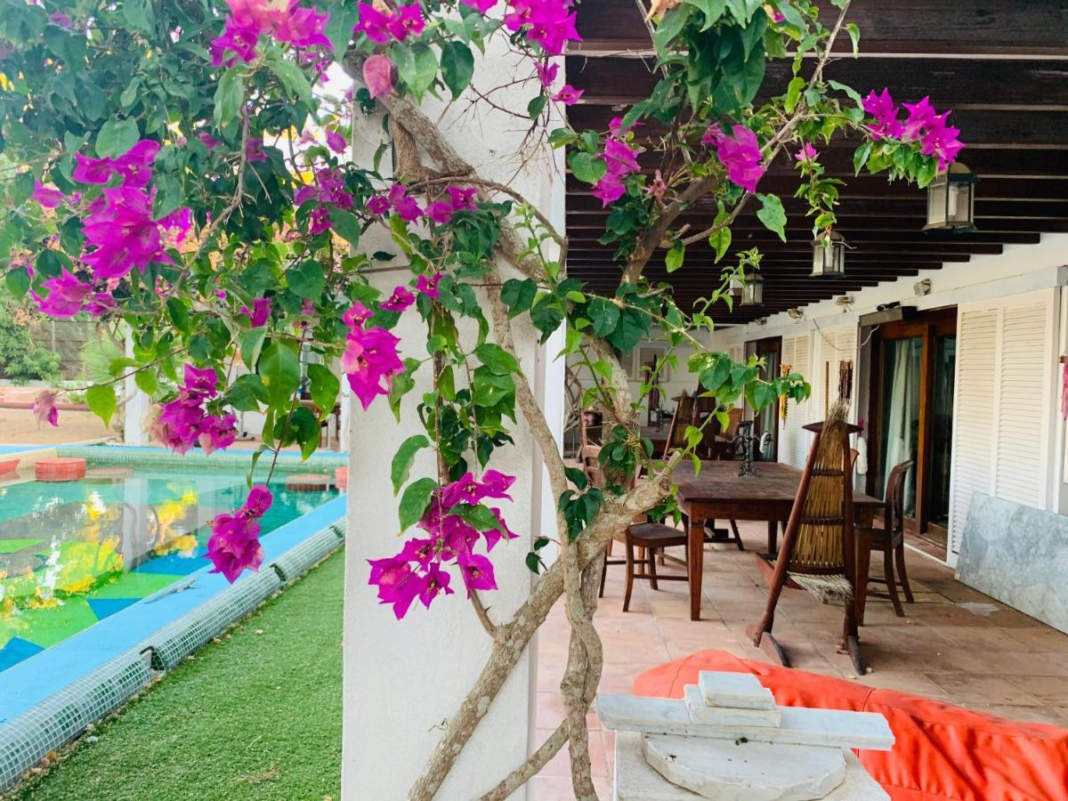 Ibiza Paradise Bed and Breakfast Santa Eulalia del Río Exterior foto